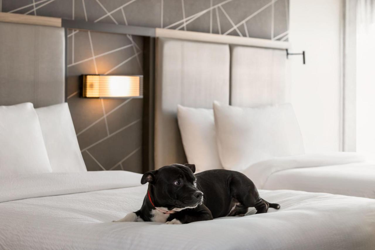 Springhill Suites By Marriott Camp Hill Екстериор снимка